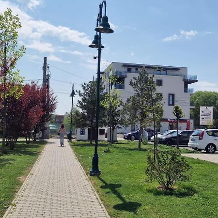 Amazing Apartament With Garden Bucharest Airport Self Check-In!! Otopeni Exterior foto